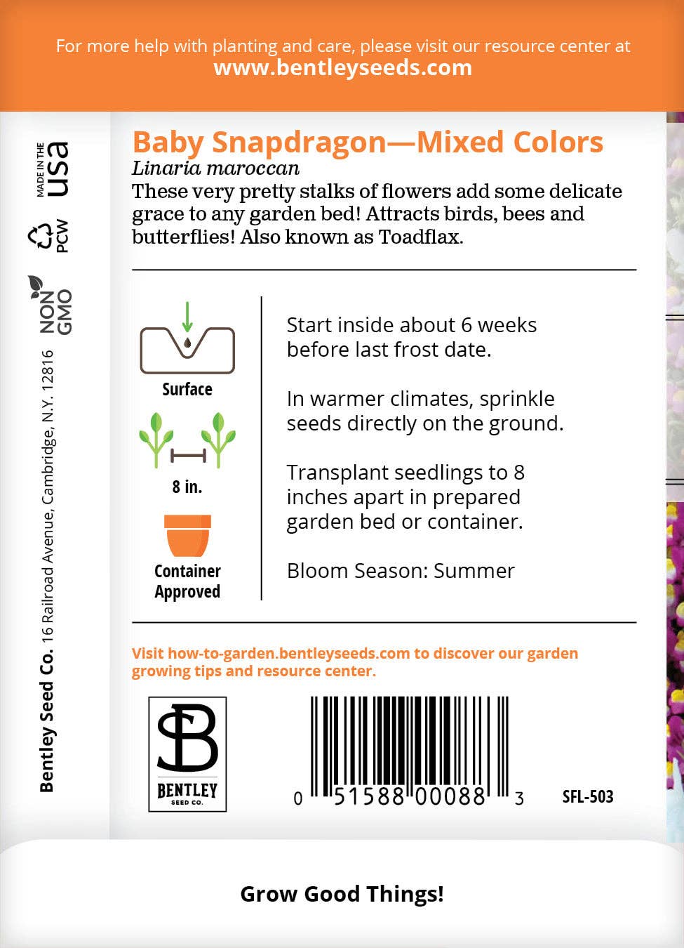 Baby Snapdragon -  Seed Packet