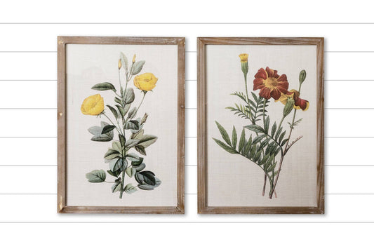 Framed Prints - Marigold And Ranunculus