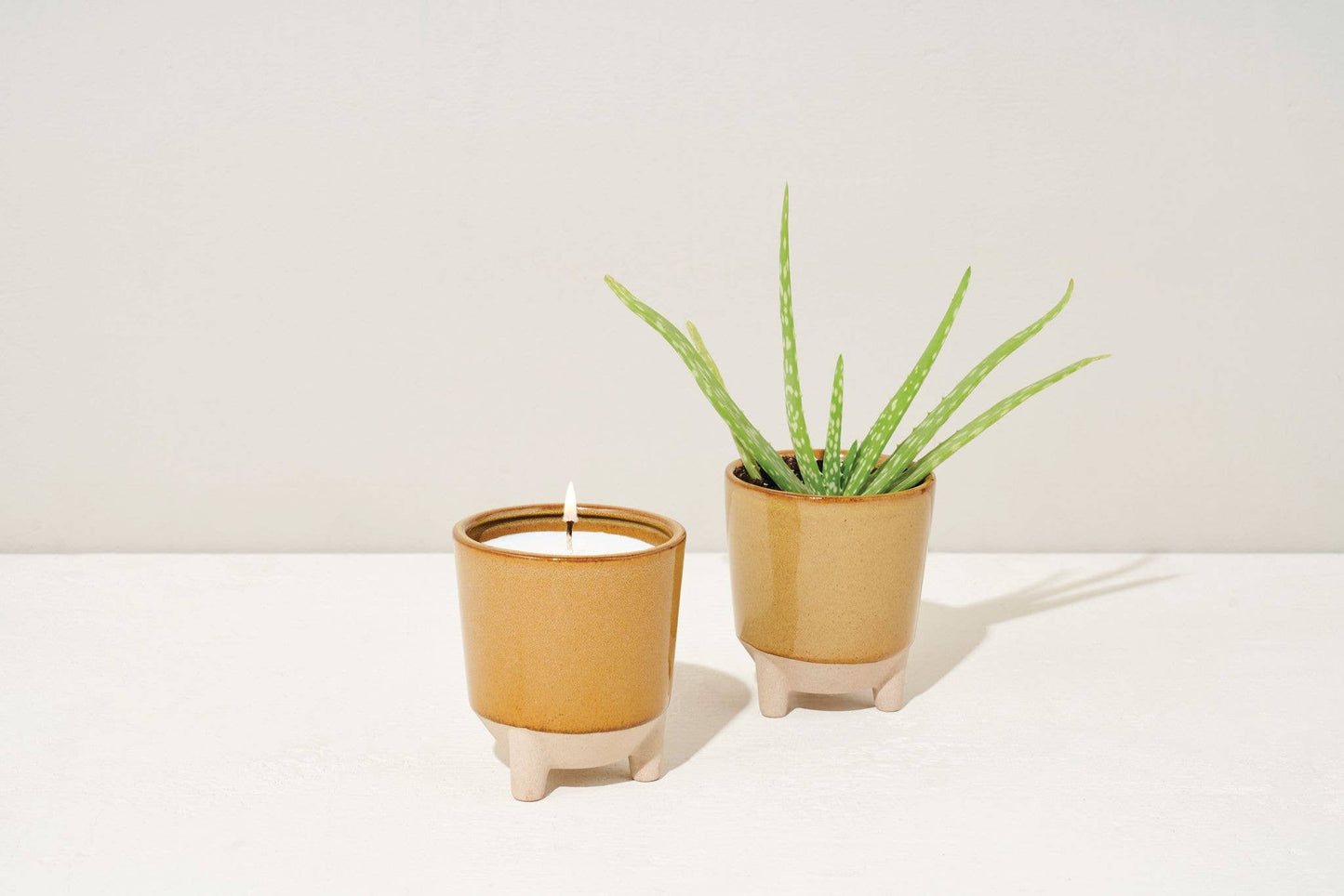 Glow and Grow 2-in-1 Candle + Grow Kit