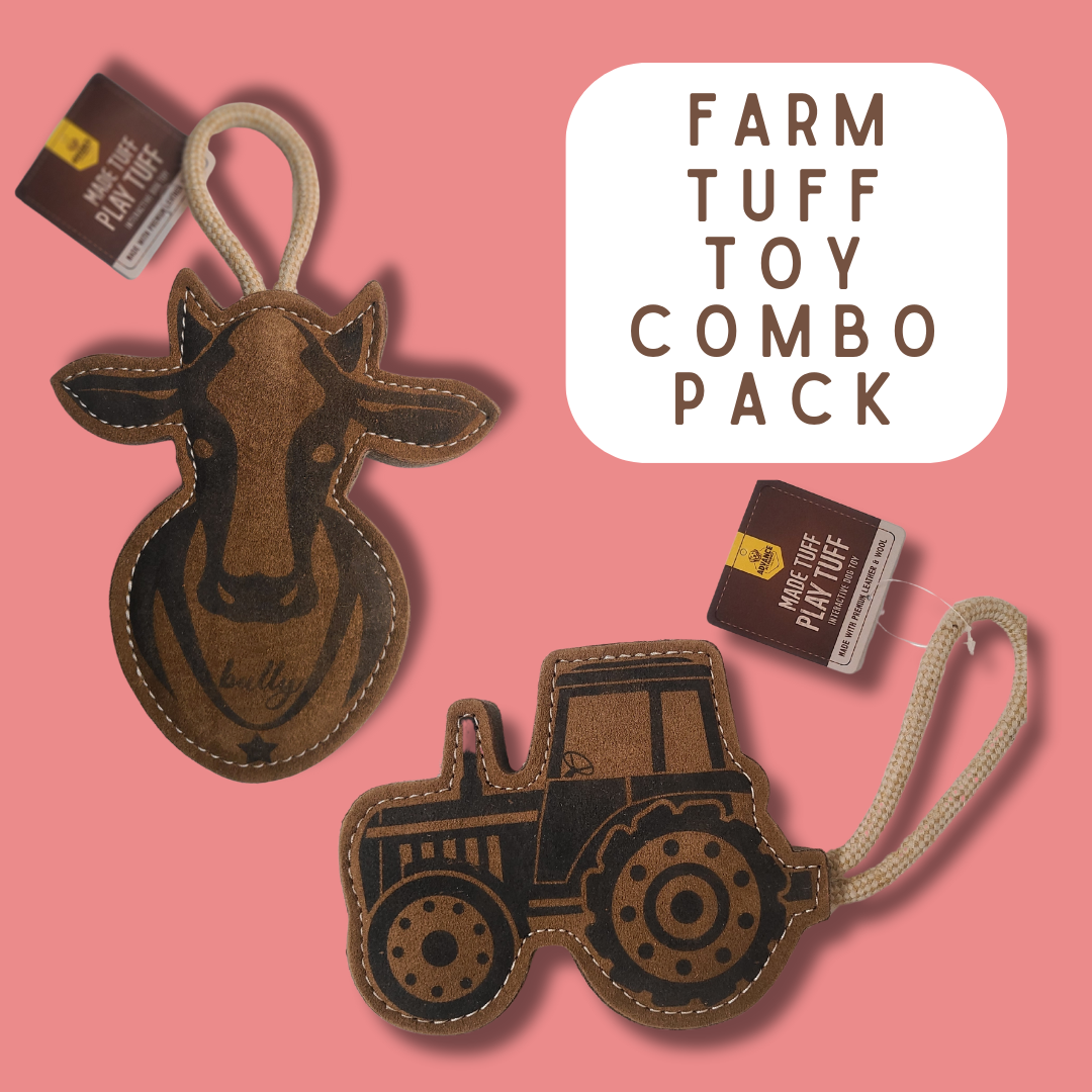 TUFF TOYS Leather Dog Toys
