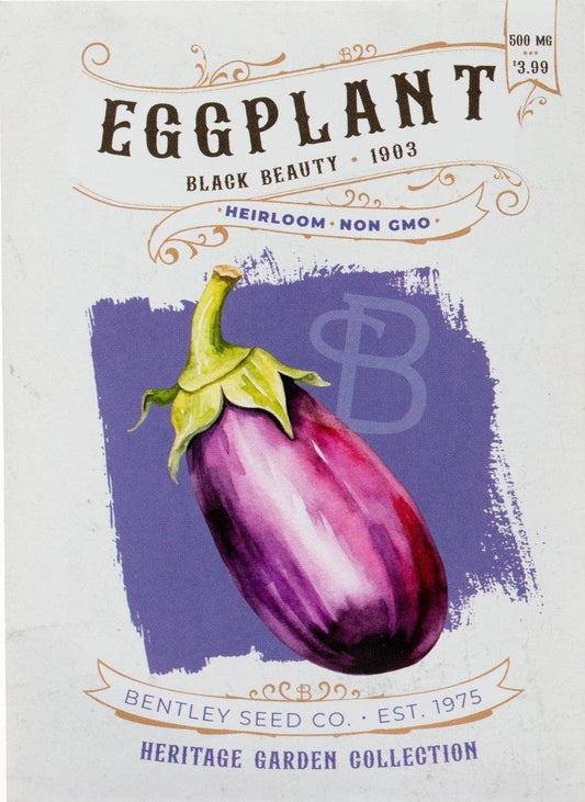 Eggplant-Black Beauty 1903