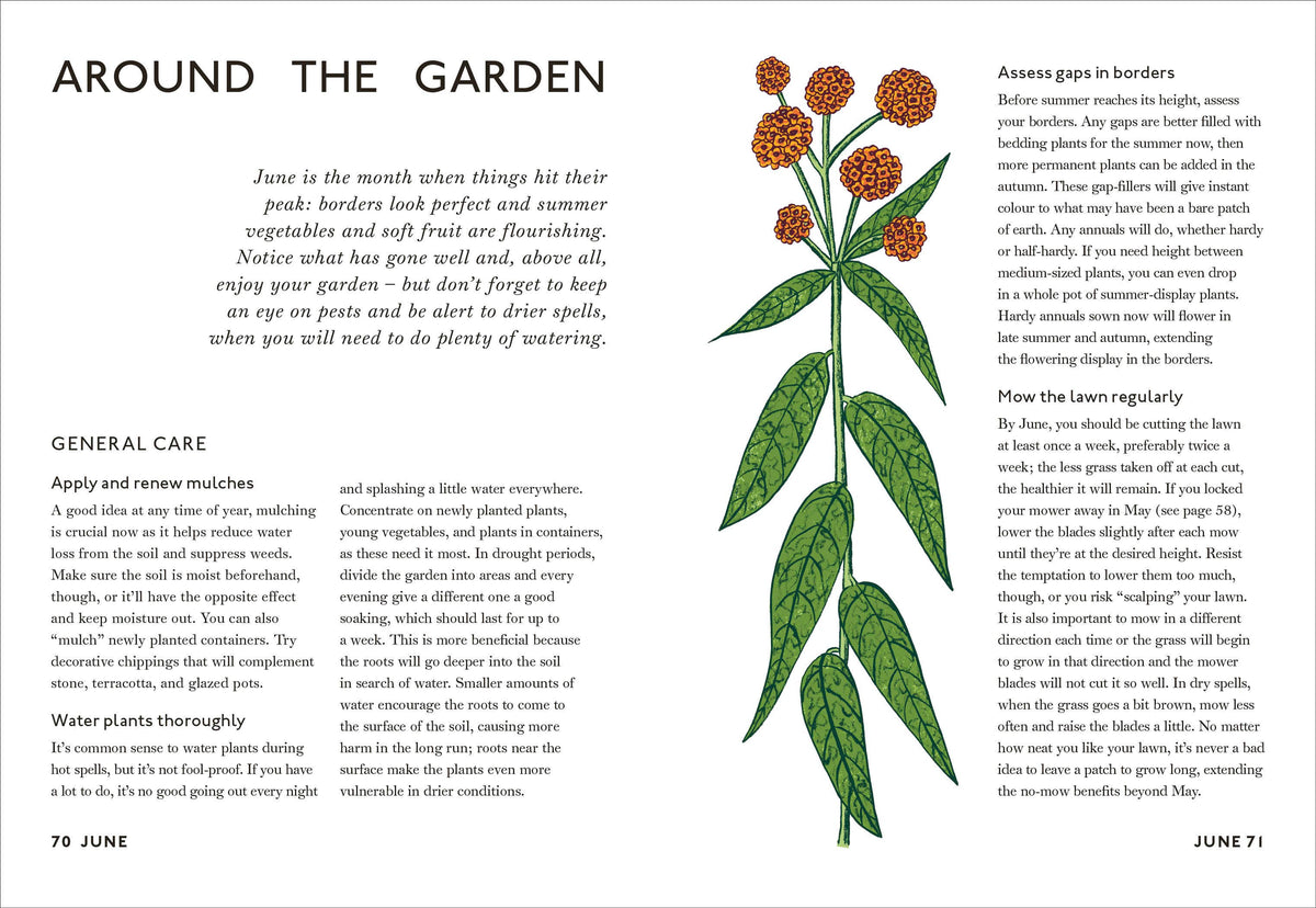 Your Gardening Year