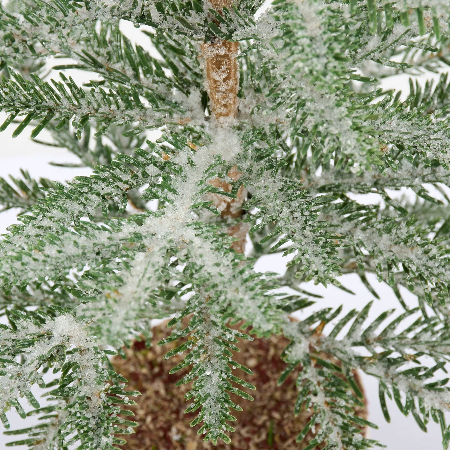Large Icy Pine Tree