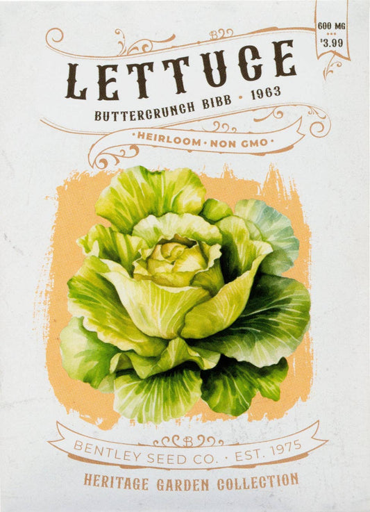 Lettuce-Buttercrunch Bib 1963