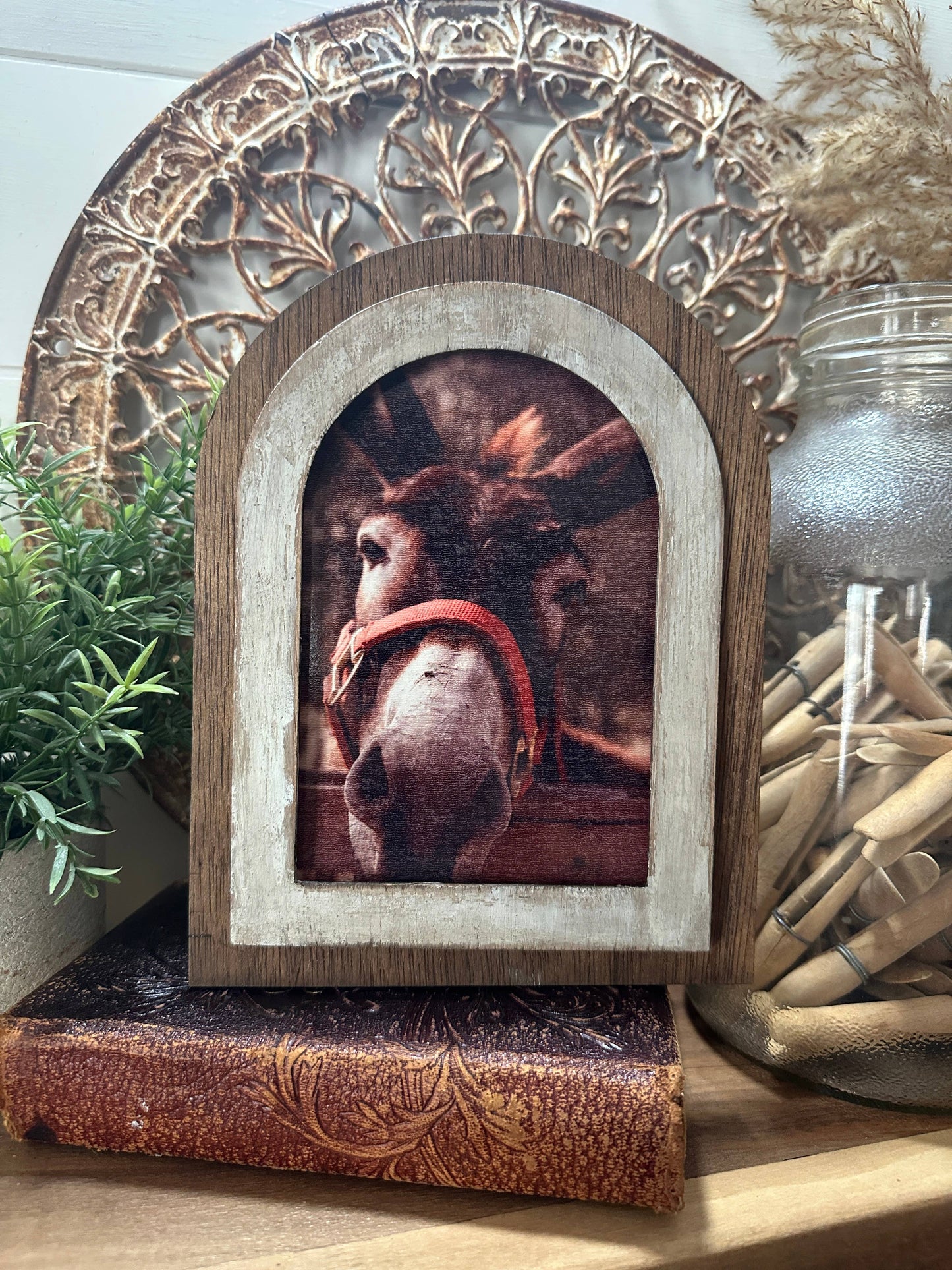 Arched Donkey Art