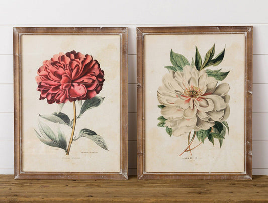 Framed Prints - Vulcan & Peony