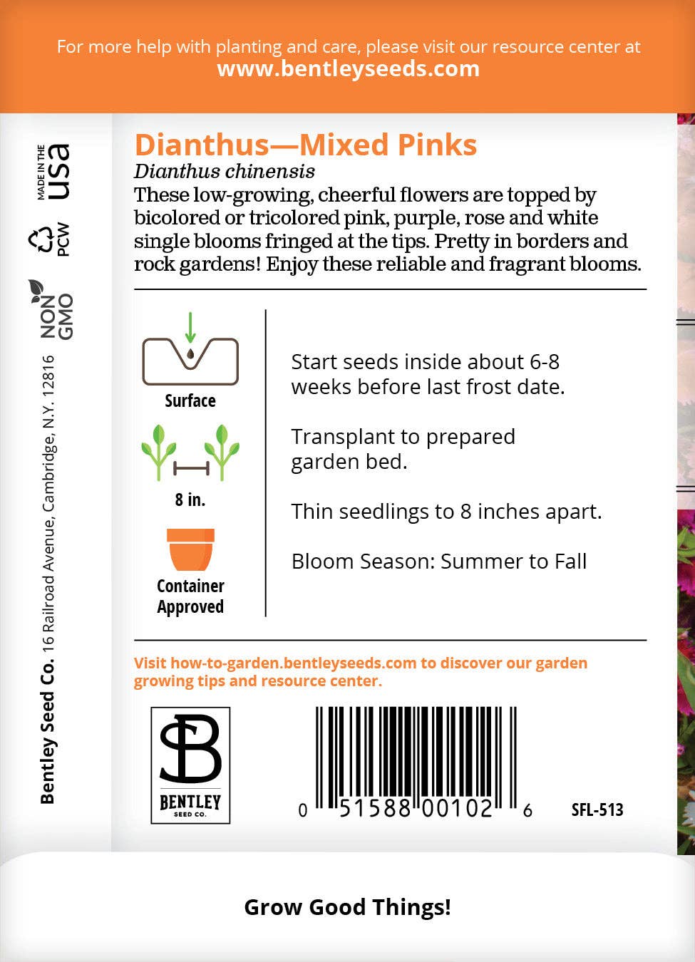 Dianthus, Mixed Colors Seed Packets