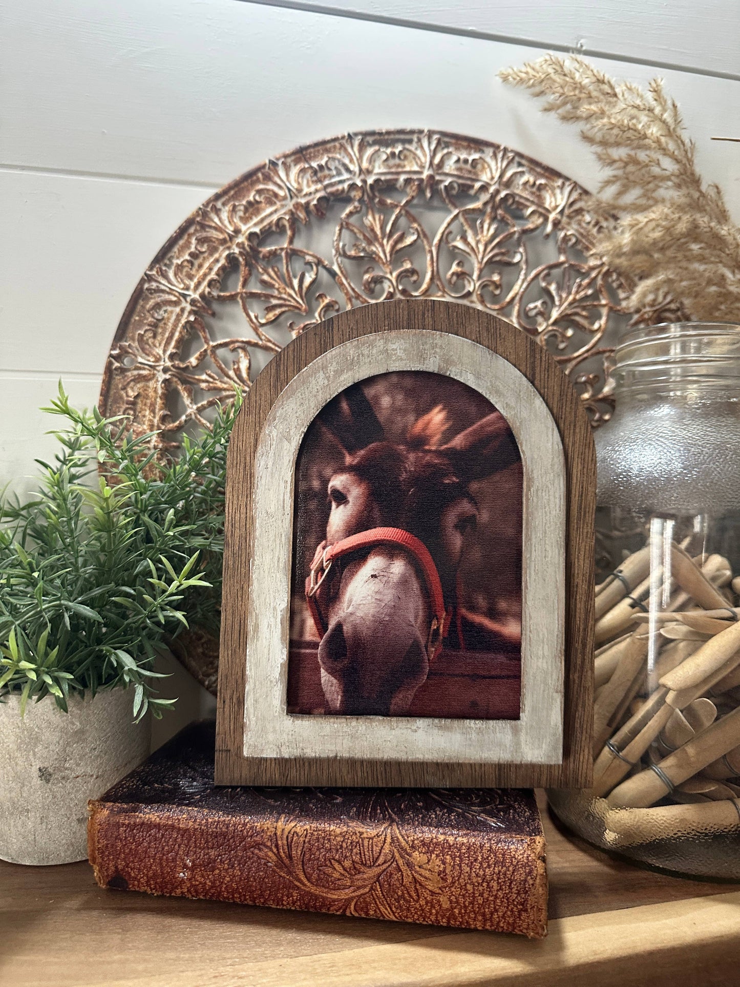 Arched Donkey Art