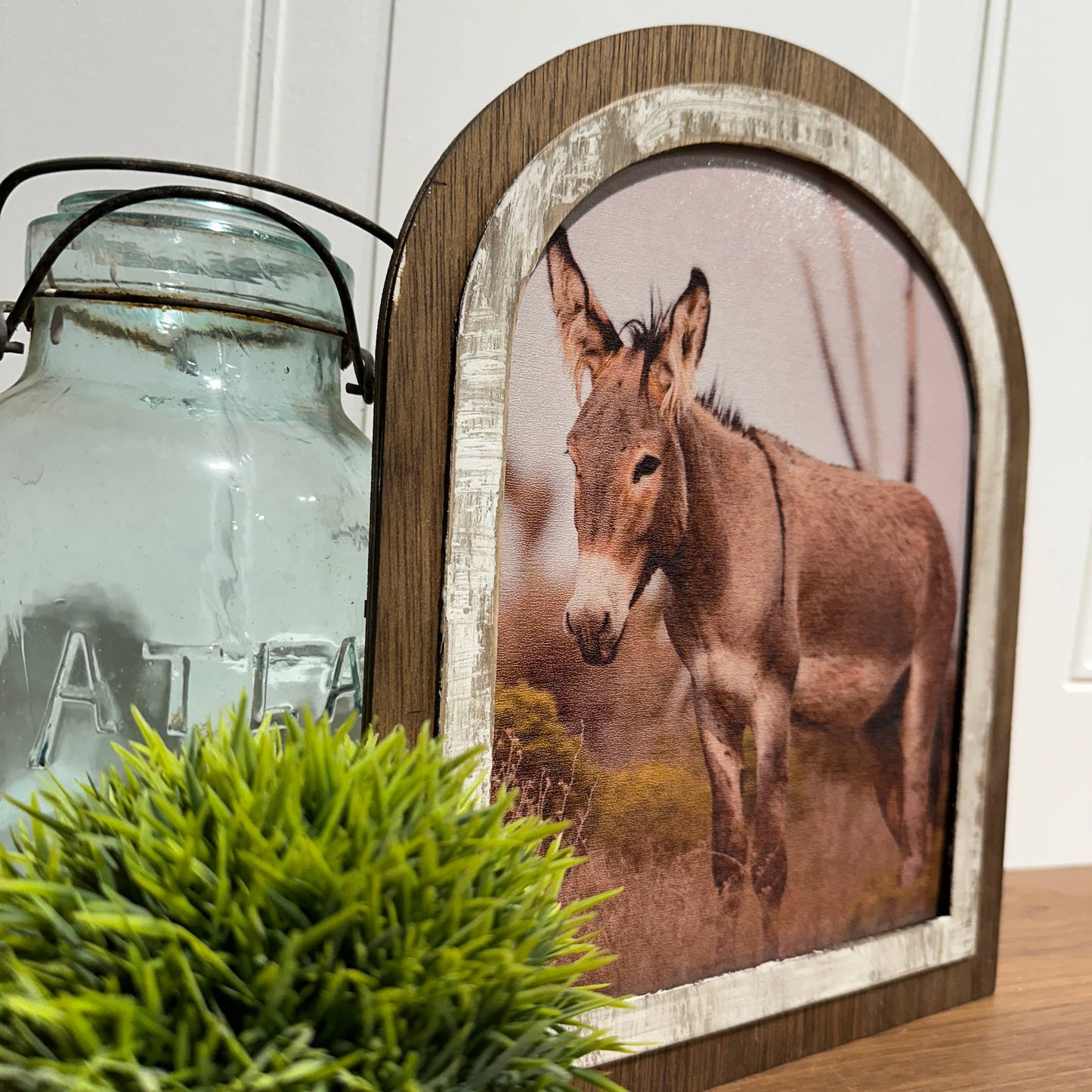 Donkey Wall Art