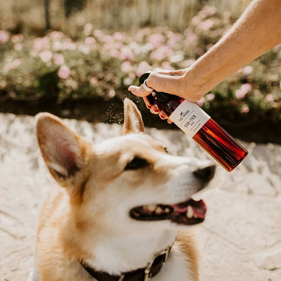 Flea + Tick Spray for Dogs, Natural Bug Repellant Spray