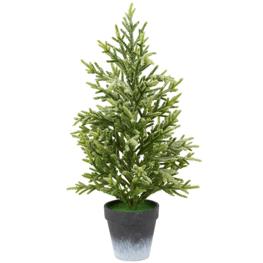 Large Snowy Norfolk Pine Tree