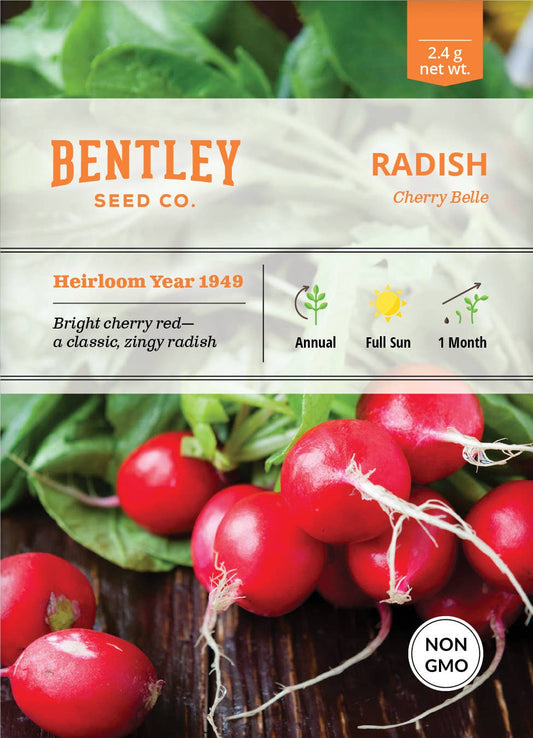 Radish-Cherry Belle