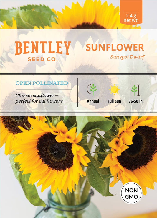 Sunflower, Sunspot Dwarf Seed Packets