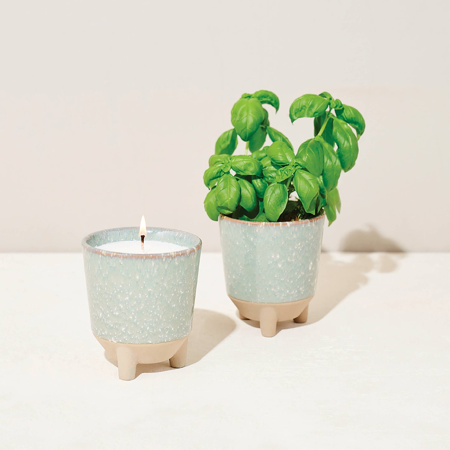 Glow and Grow 2-in-1 Candle + Grow Kit
