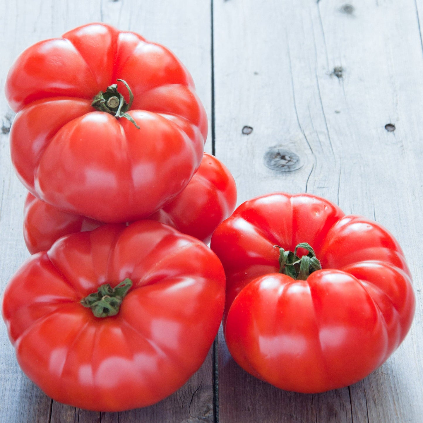 Tomato-Beefsteak 1885