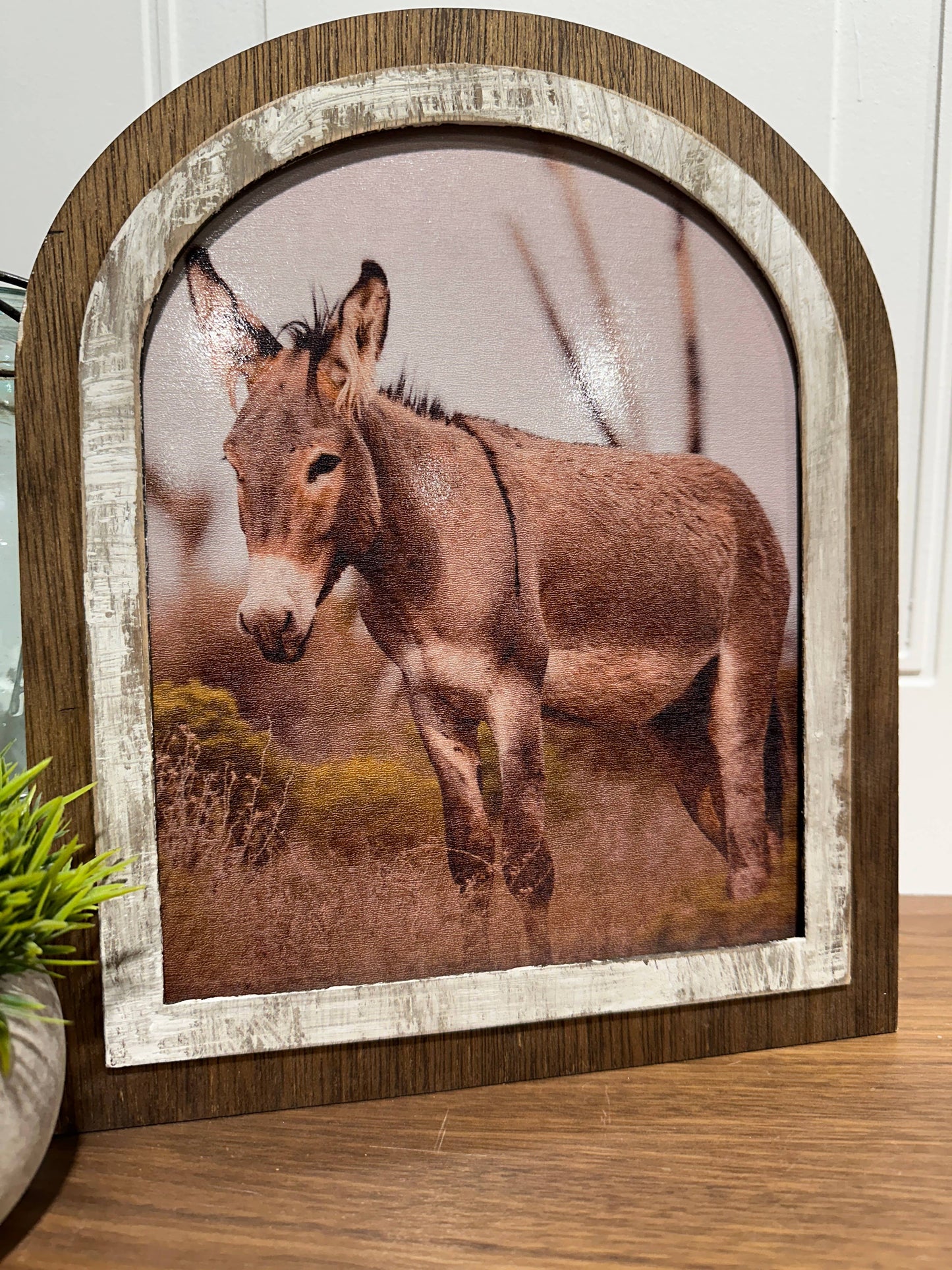 Donkey Wall Art
