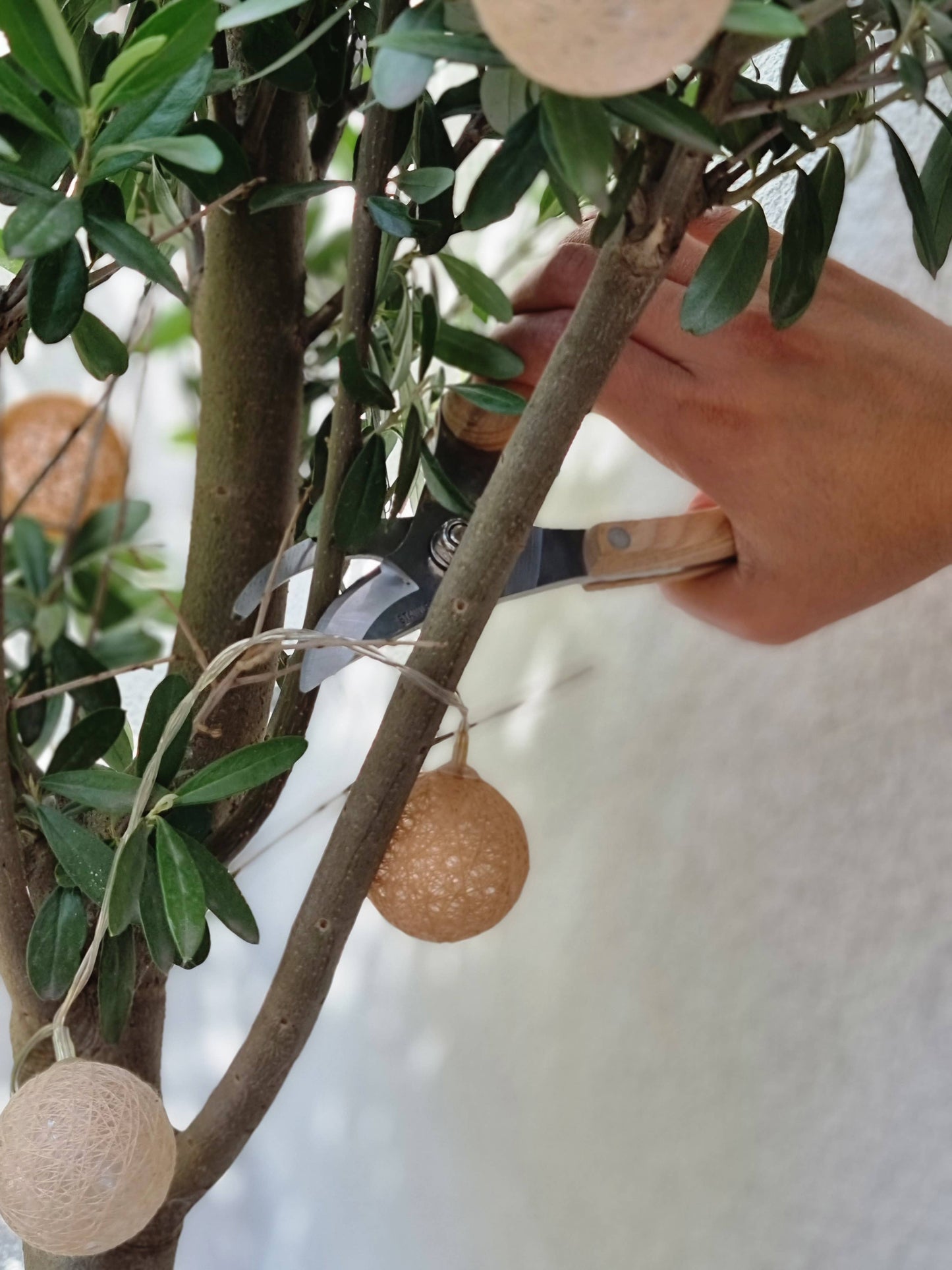 Metal Pruner with Wooden Handle