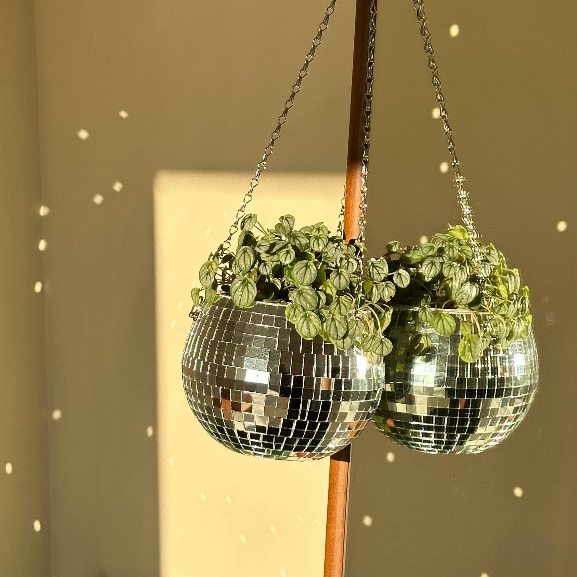 disco ball plant pot Disco Ball Planter – Cassidy Station