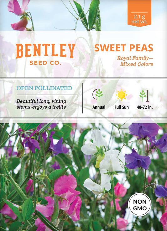 Sweet Peas-Royal Family Mixed Colors-Lathyrus Odoratus
