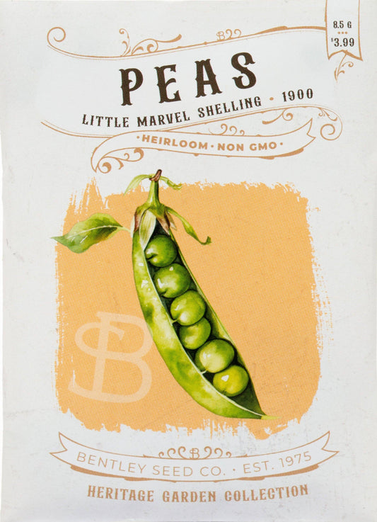 Peas-Little Marvel Shelling 1900