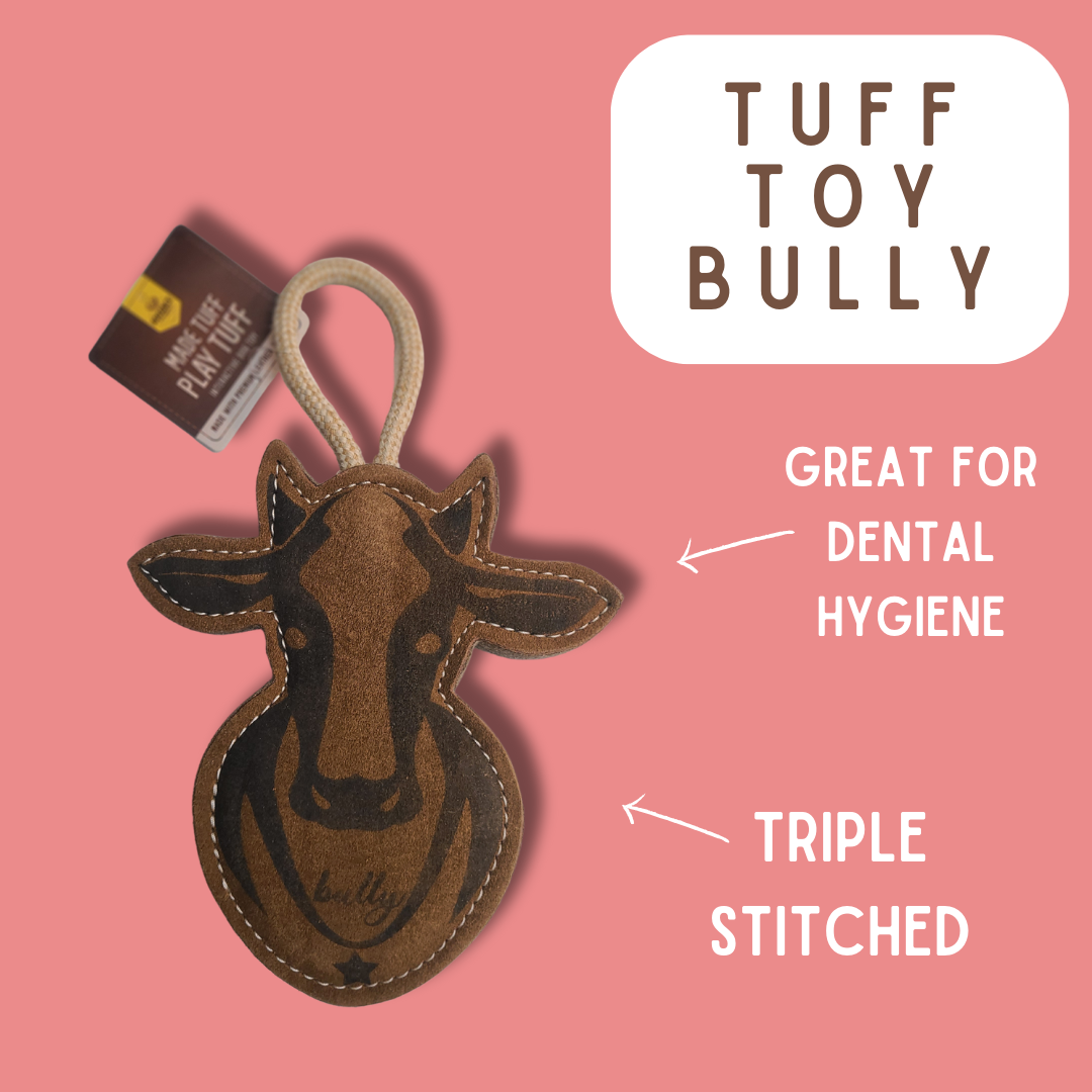 TUFF TOYS Leather Dog Toys