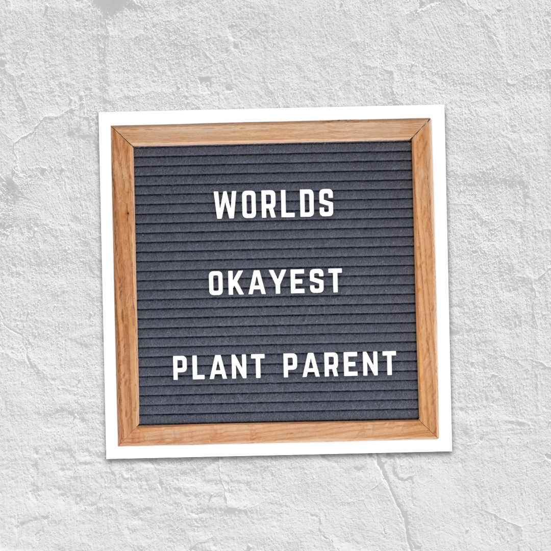 Worlds Okayest Plant Parent Vinyl Sticker