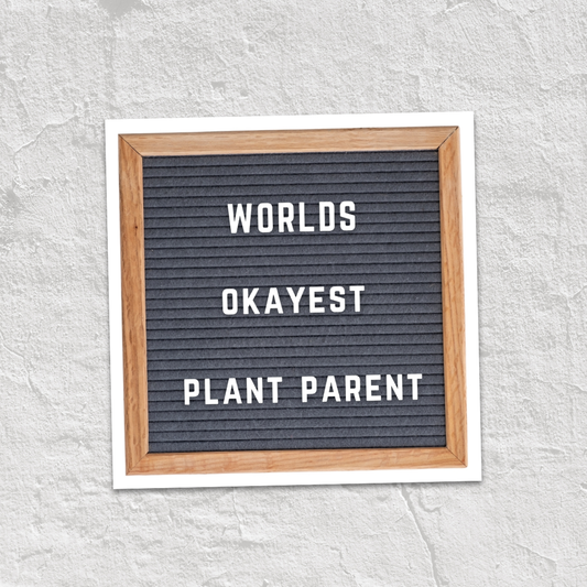 Worlds Okayest Plant Parent Vinyl Sticker
