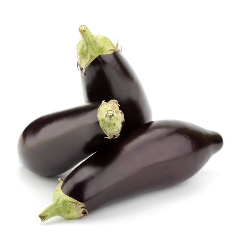 Eggplant-Black Beauty 1903
