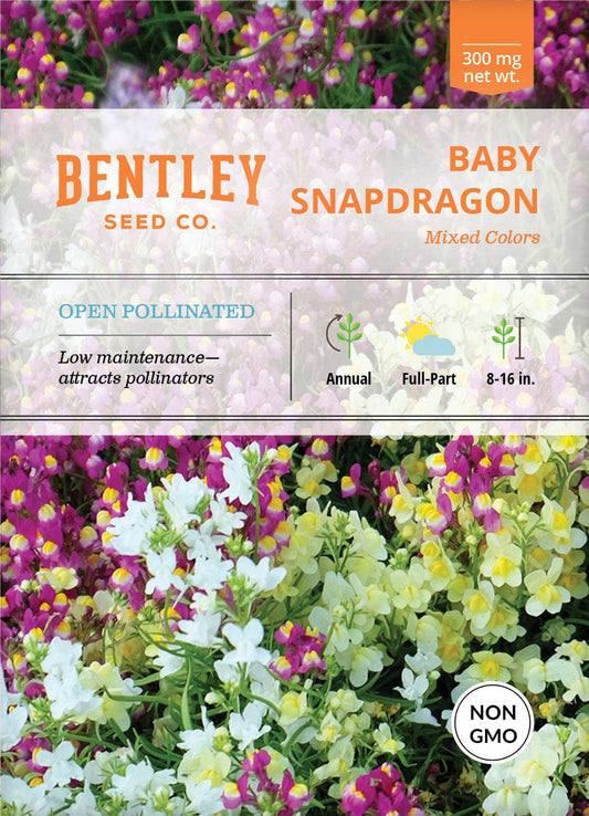Baby Snapdragon -  Seed Packet