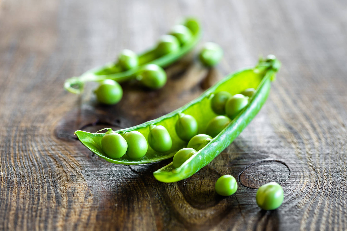 Peas-Little Marvel Shelling 1900