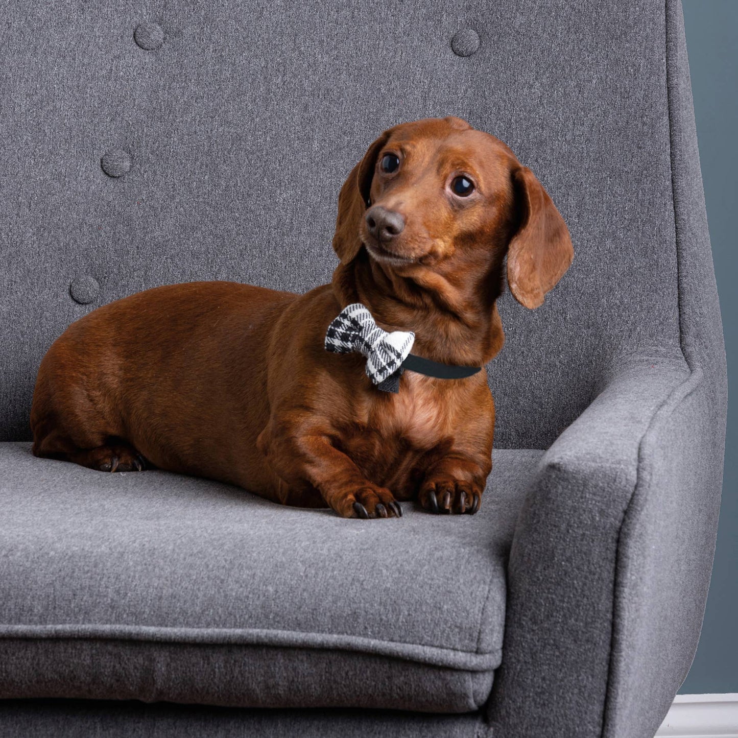 Christmas Plaid Small Pet Bow Tie Set