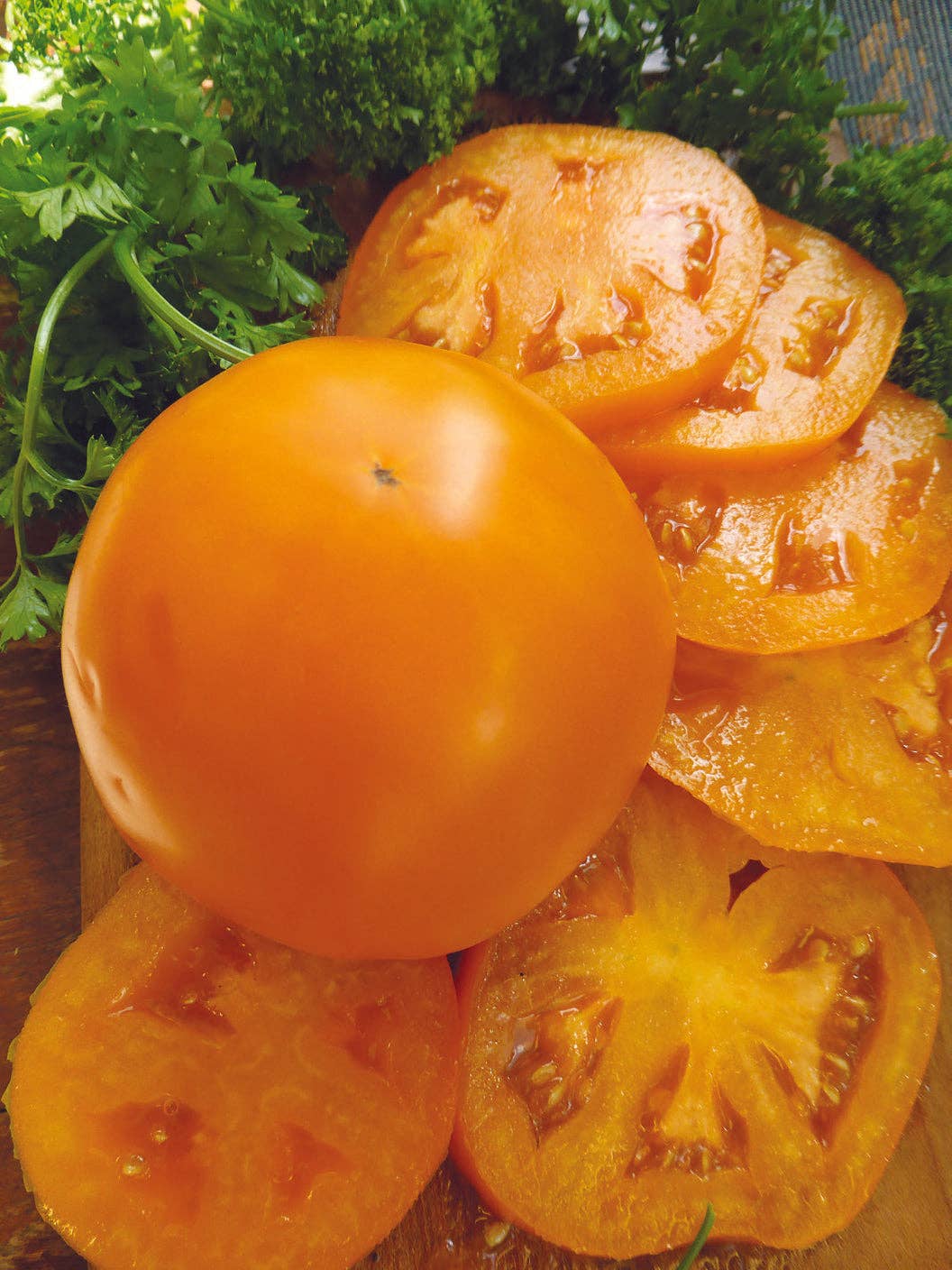 Tomato-Jubilee 1943