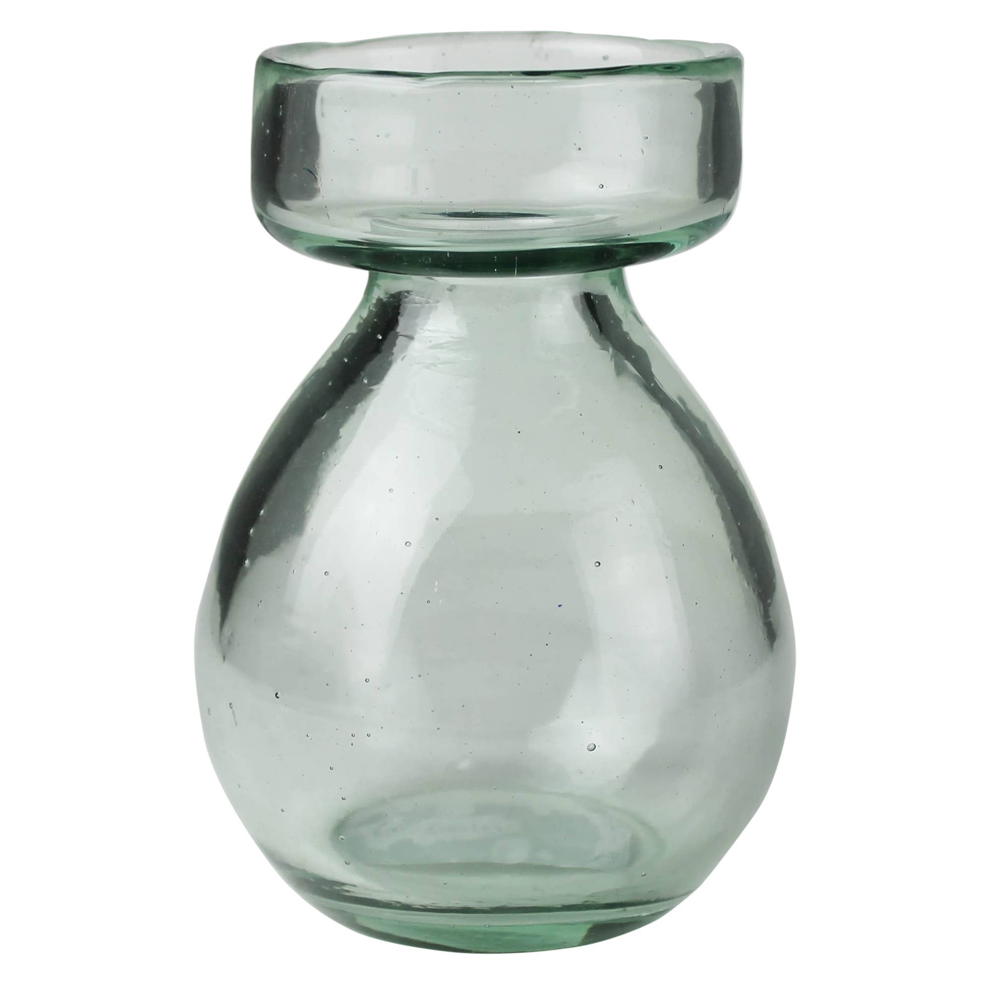 Vulp Vase Bulb Vase - Recycled Clear – Cassidy Station