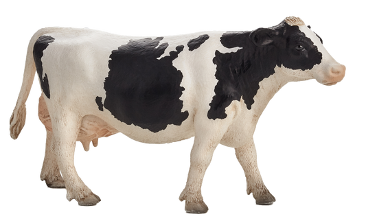 MOJO Holstein Cow