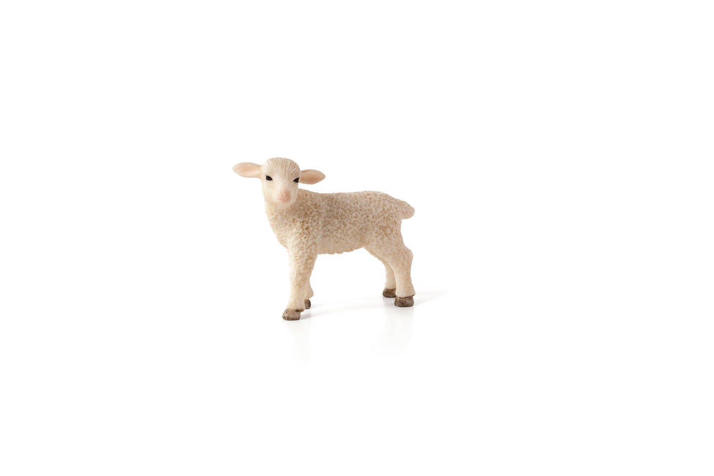 MOJO Lamb Standing