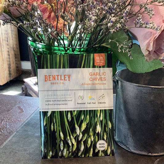 Garlic Chives